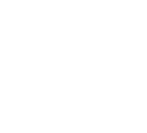 S_Icon_White